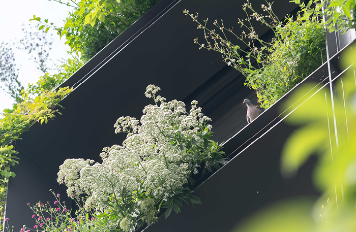 images site Villa M 700x457