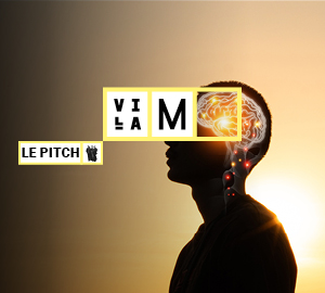 300-270 pitch 03-12-corps-cerveau