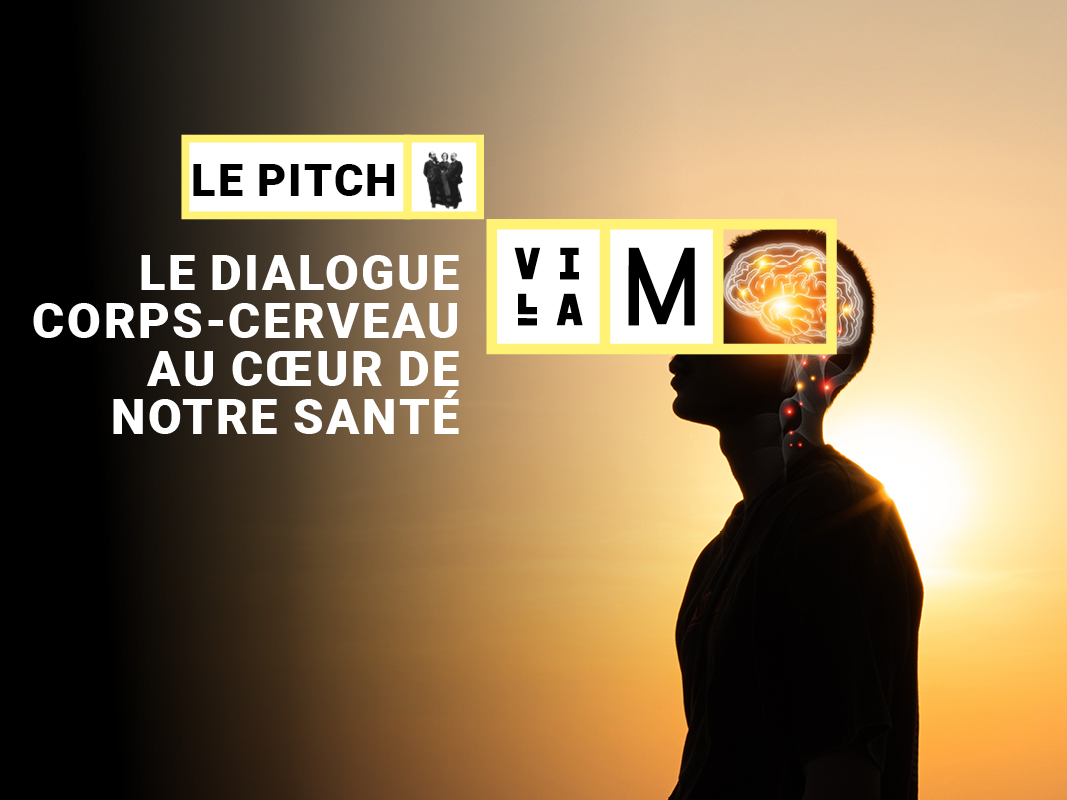 pitch 800-600 03-12-corps-cerveau