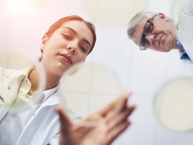 Bourses 2026 image 1