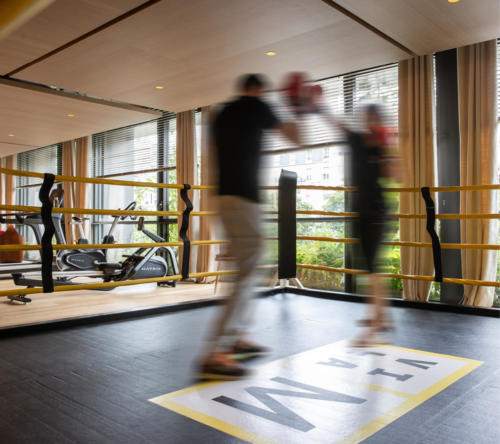 Photo 580-520 val Starck2