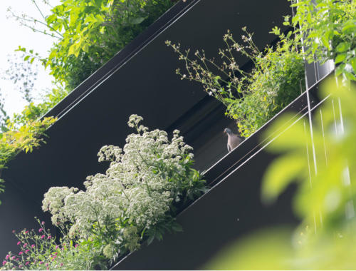 Salon sport Santé et Bien-être à Paris 15 Villa M